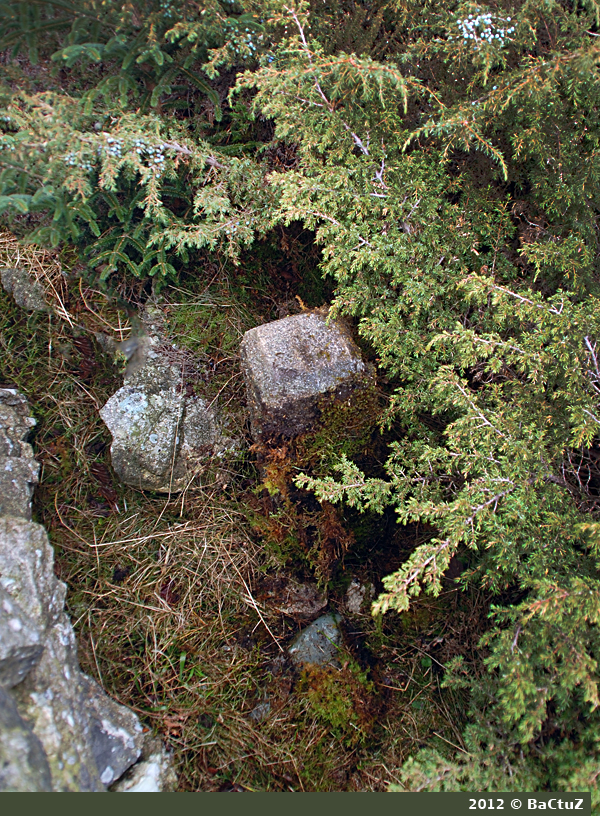 kabelstein i løpegrav.jpg