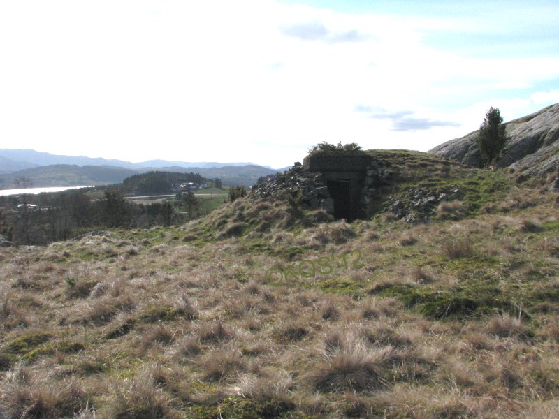 20120406_001_1.jpg