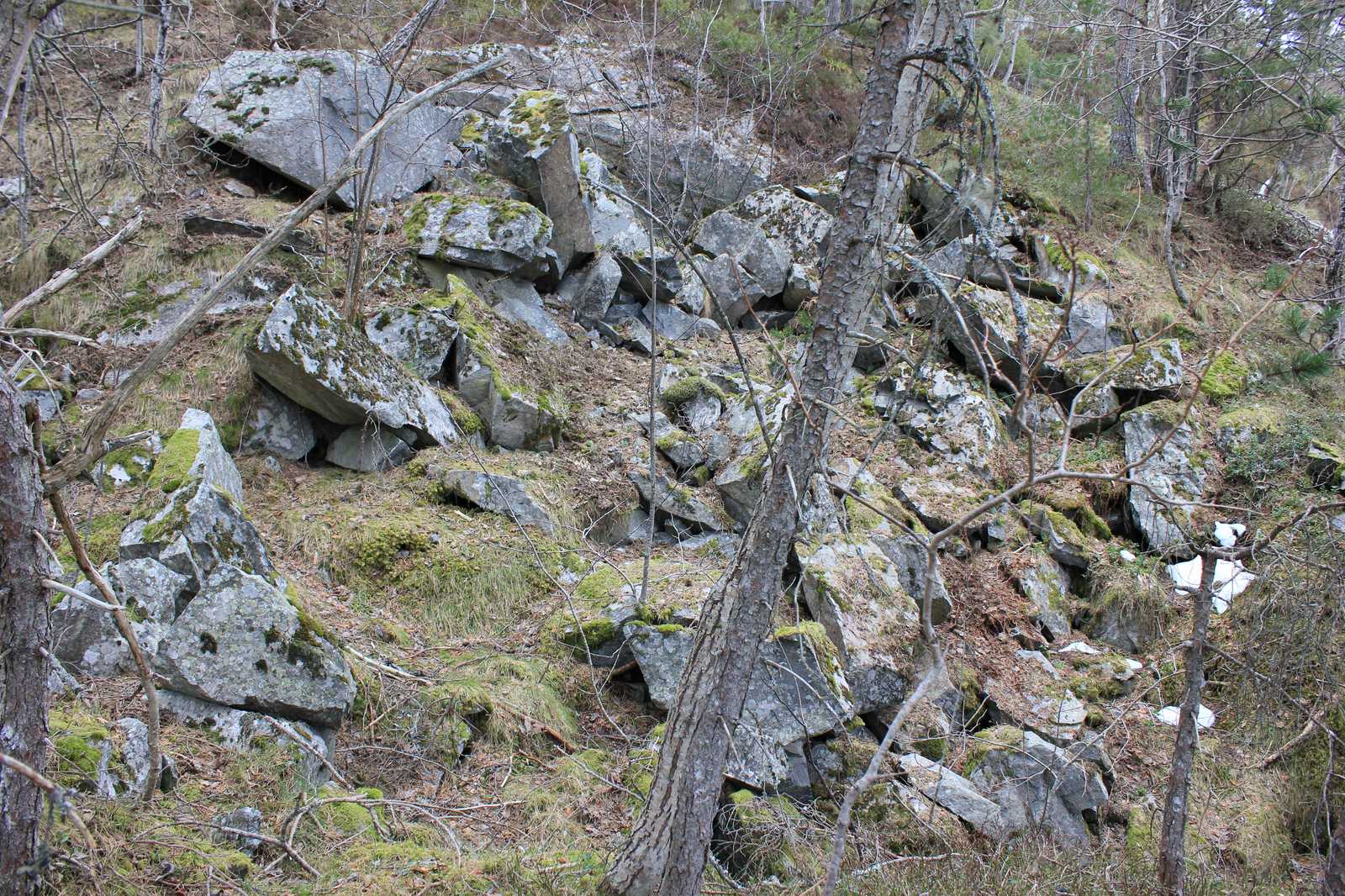 Tunnelinnslag fremfor haugen <br />mot sjøen...