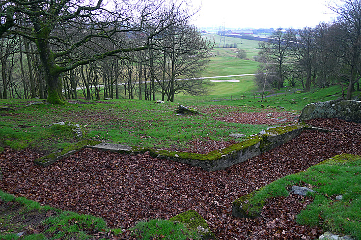 P1050017.jpg