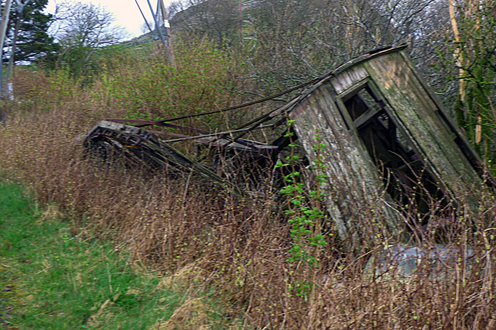 P1050022.jpg