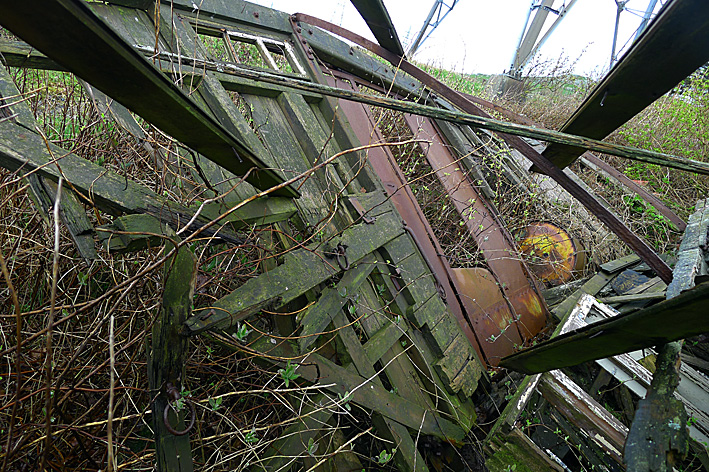 P1050026.jpg