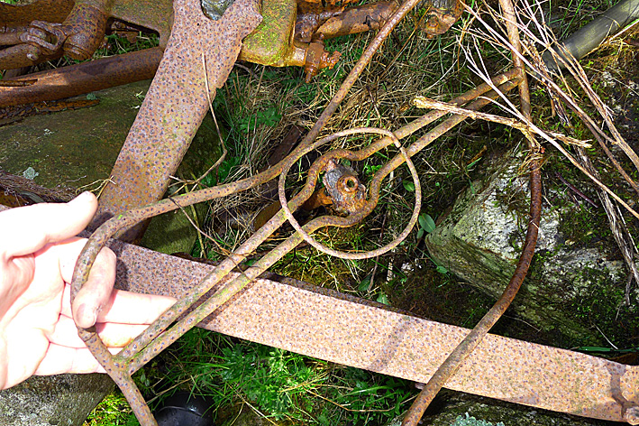 P1050059.jpg