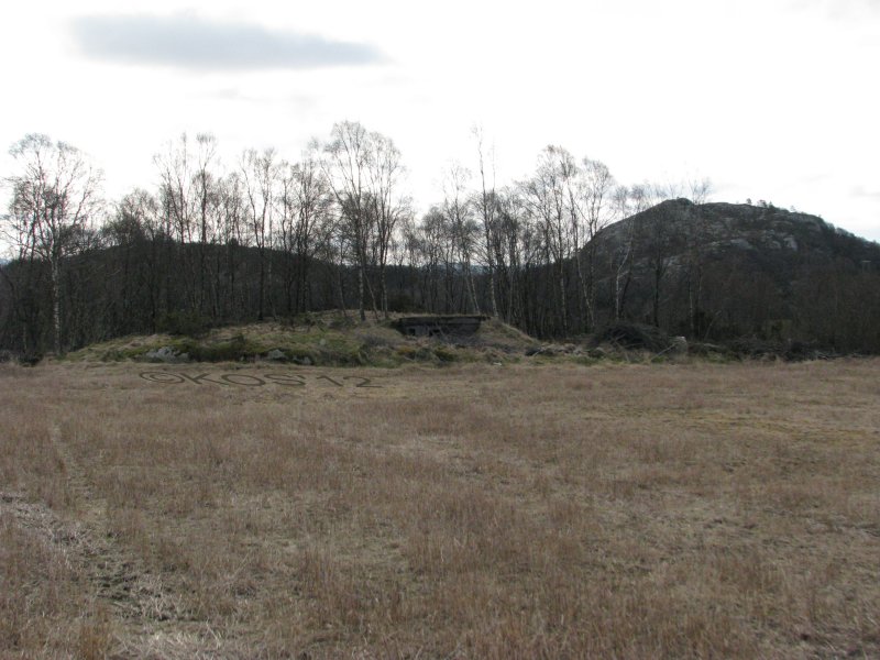 20120406_010_1.jpg