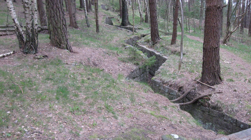 Grønnbukt (10).JPG