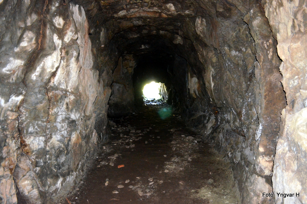 3-DSC_0116.JPG