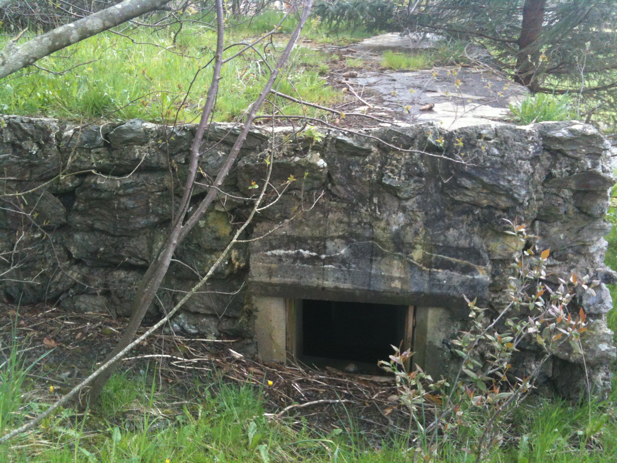 Baksida av den første bunkersen.