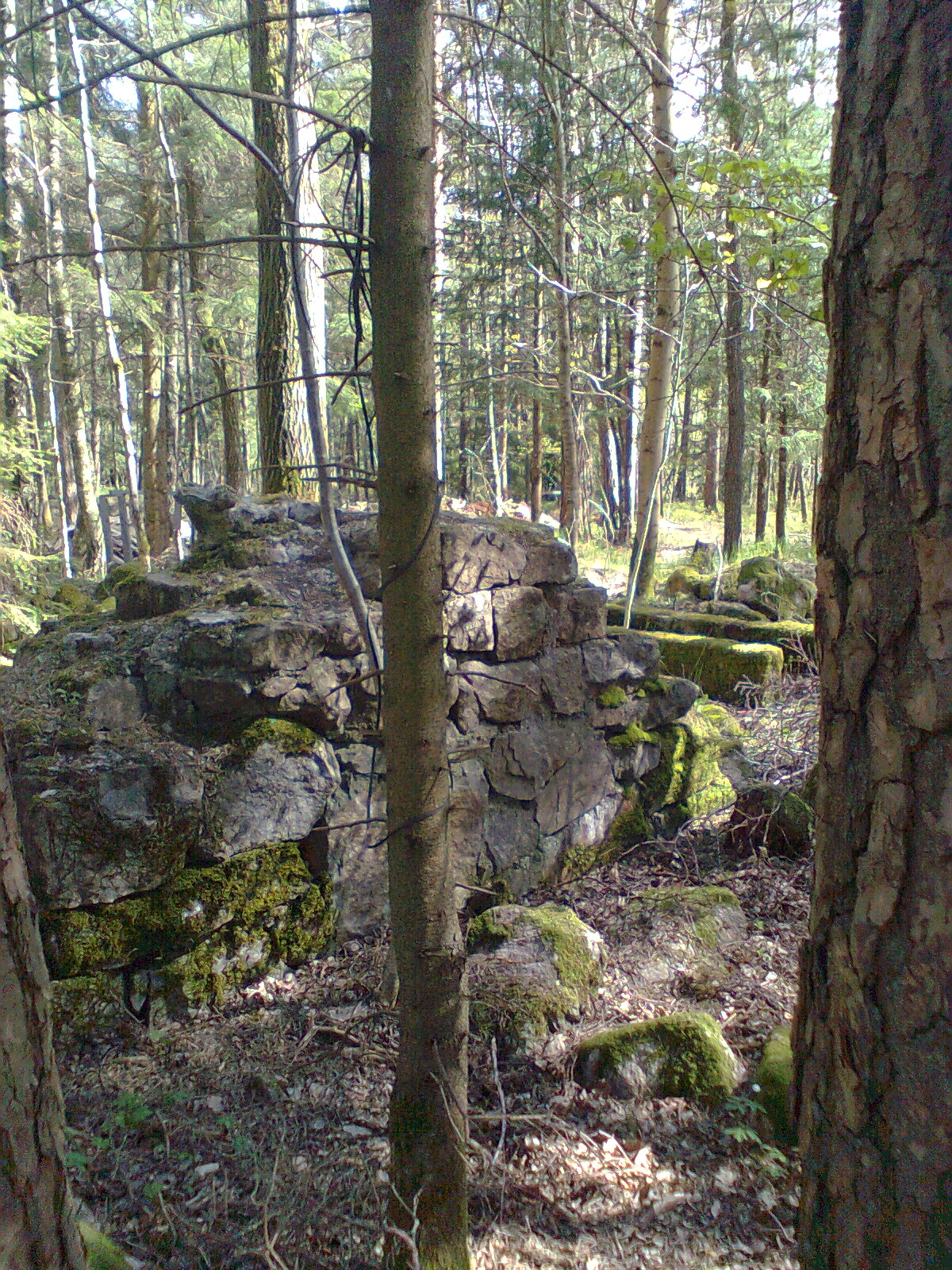 Ammo hus i forfall