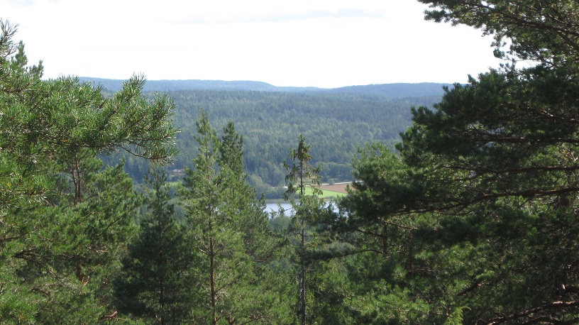 Isesjøen (17).JPG