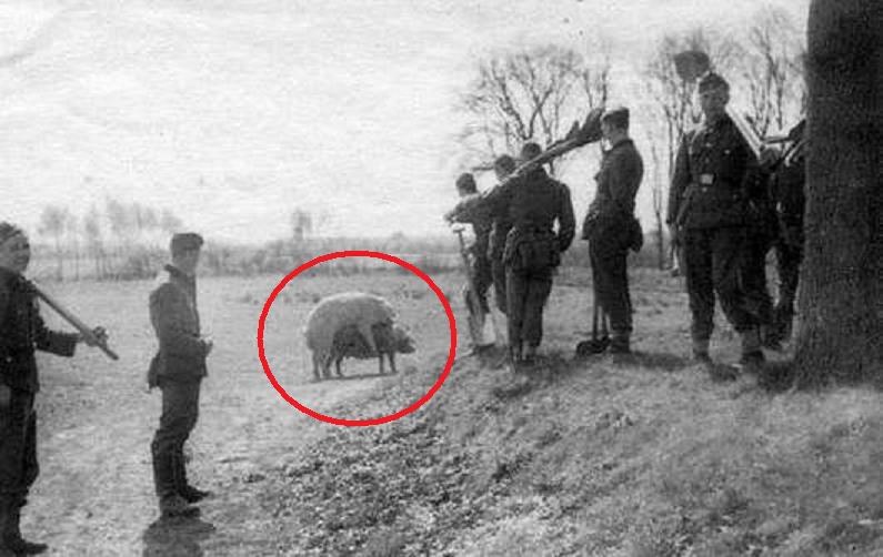 funny_world_war2_pics09.jpg