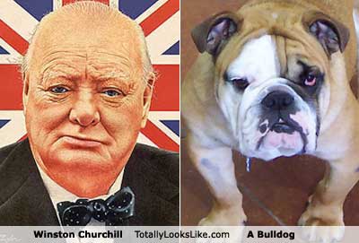 winston-churchill.jpg
