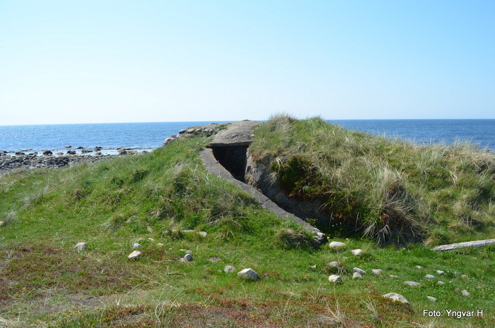 09-DSC_0134.JPG