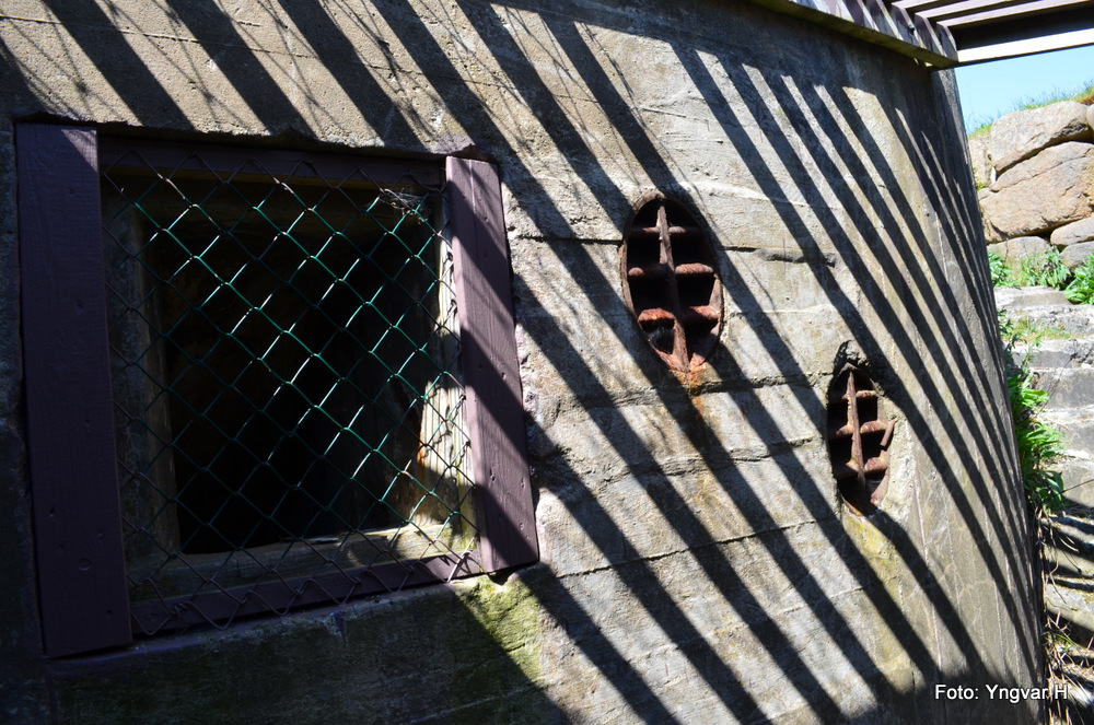 14-DSC_0170.JPG