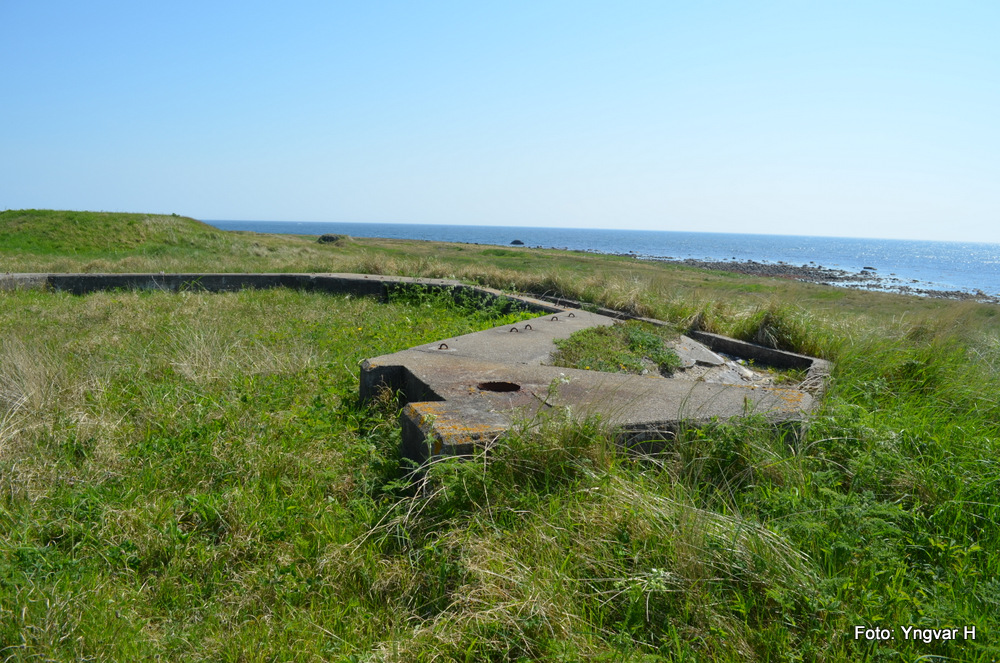 17-DSC_0185.JPG