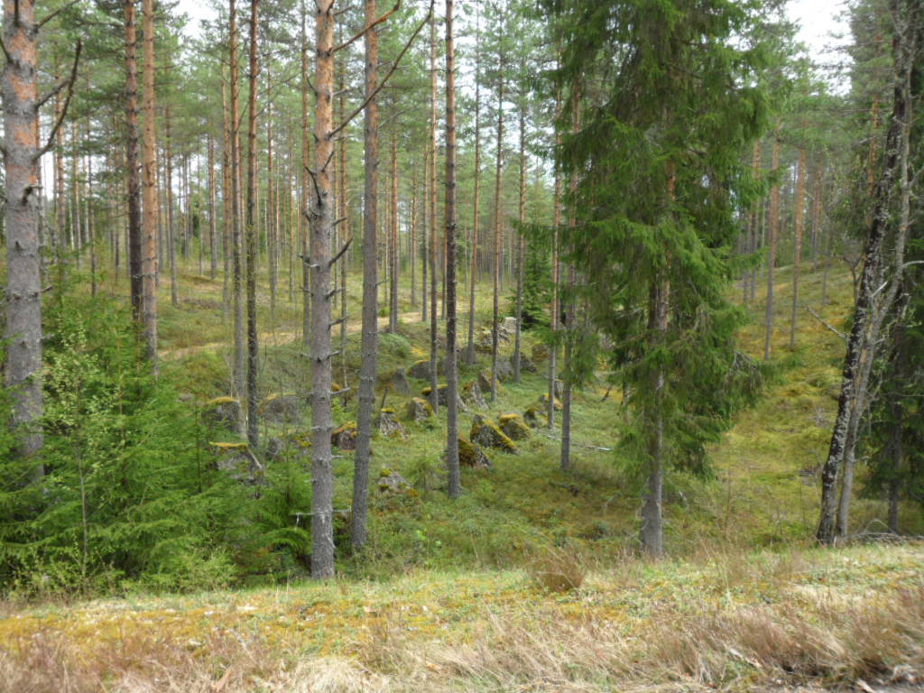 TANKS-SPERRING STEINENE ER CA<br />3 METER UNDER BAKKE NIVÅ.