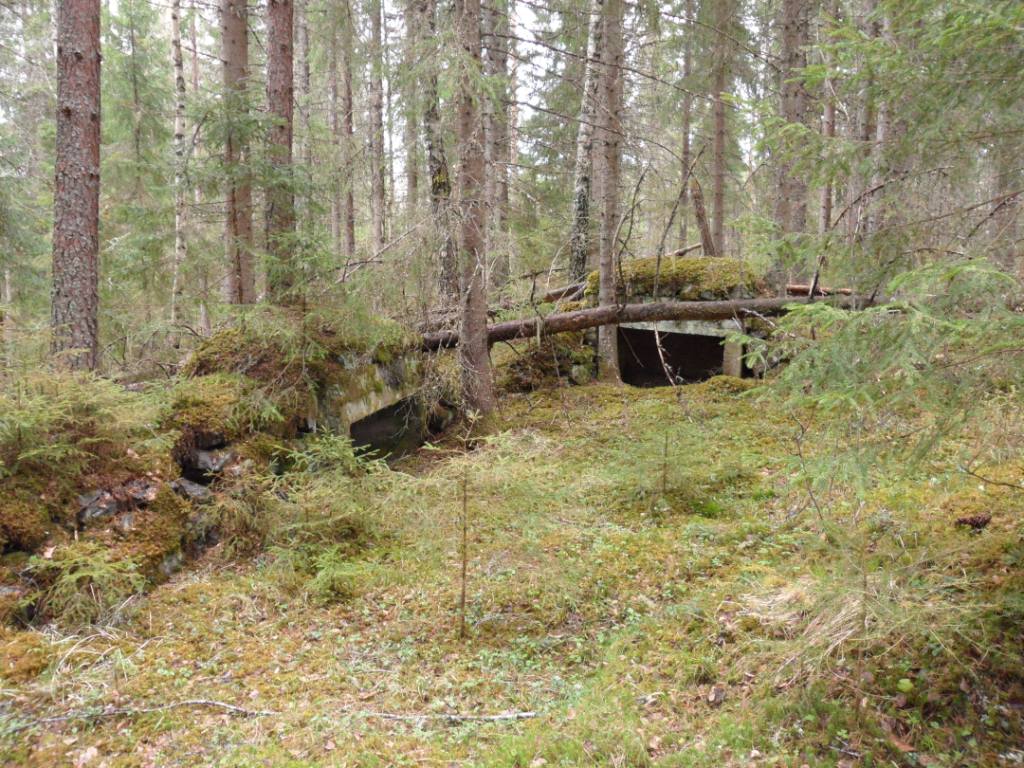 Naturen er i ferd med å ta det til-bake