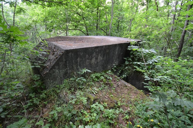 Bunker 2 - Bak