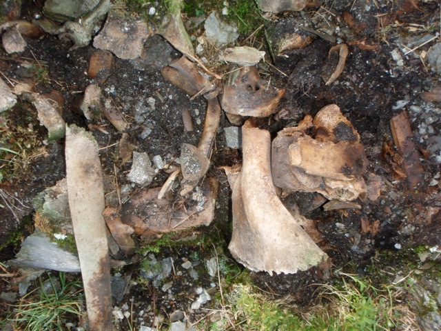 58.jpg
