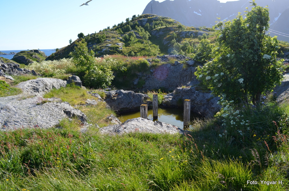 4-DSC_0580.JPG