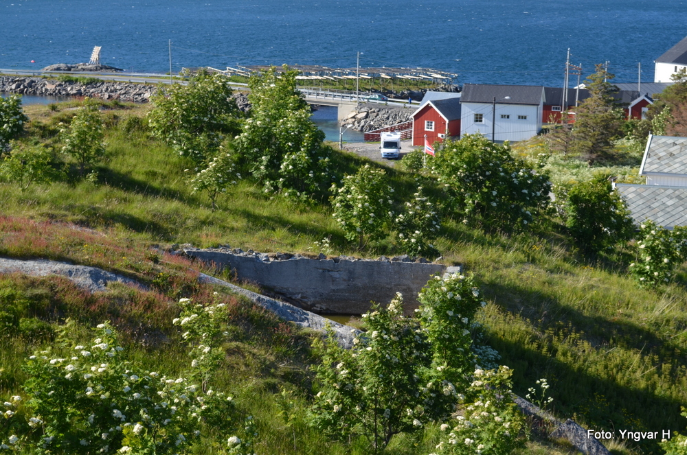 6-DSC_0583.JPG