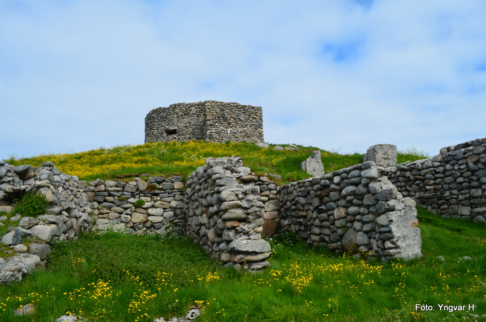 5-DSC_0428.JPG