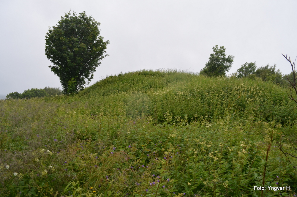 Bunker 1 (toppen ved siden av tre)