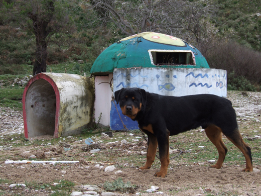 doghouse bunker.jpg