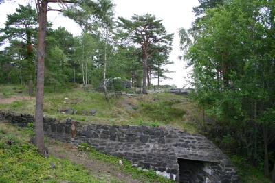 474.JPG