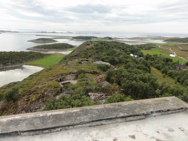 Oversiktsbilde over storfosna