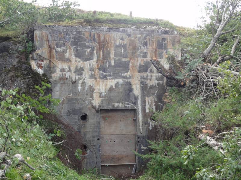 Inngangen til kommandobunker. her har man revet skogen rundt.