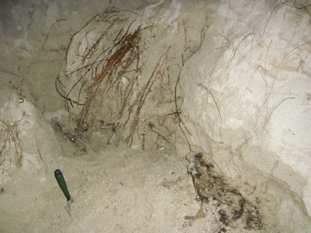 CIMG5336.JPG