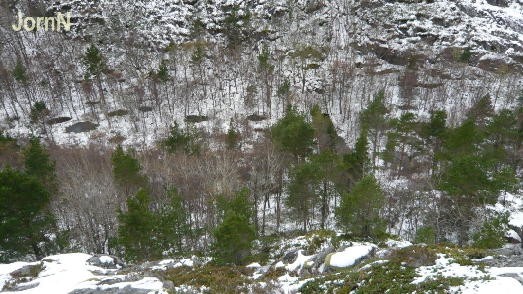 L1010012 A.jpg