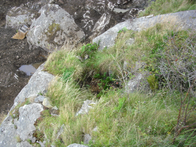 CIMG5594.JPG