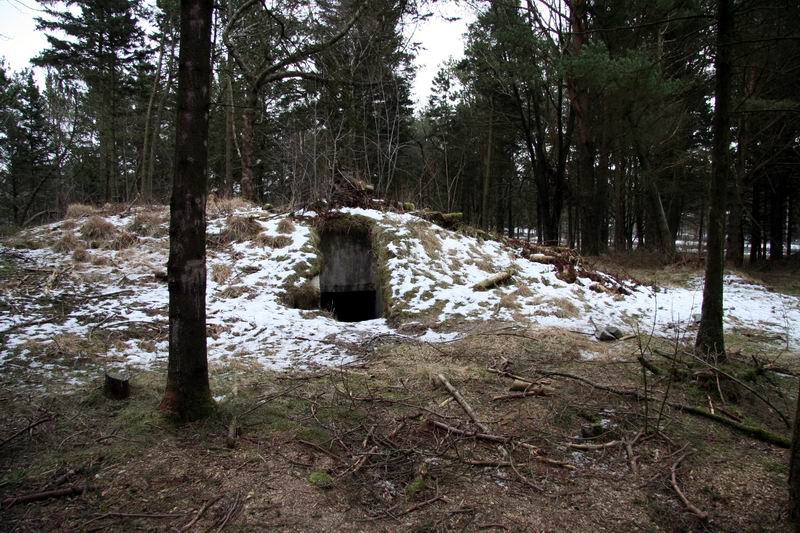 Ølbergskog.jpg