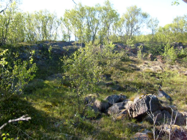 Skinnstilling II .jpg