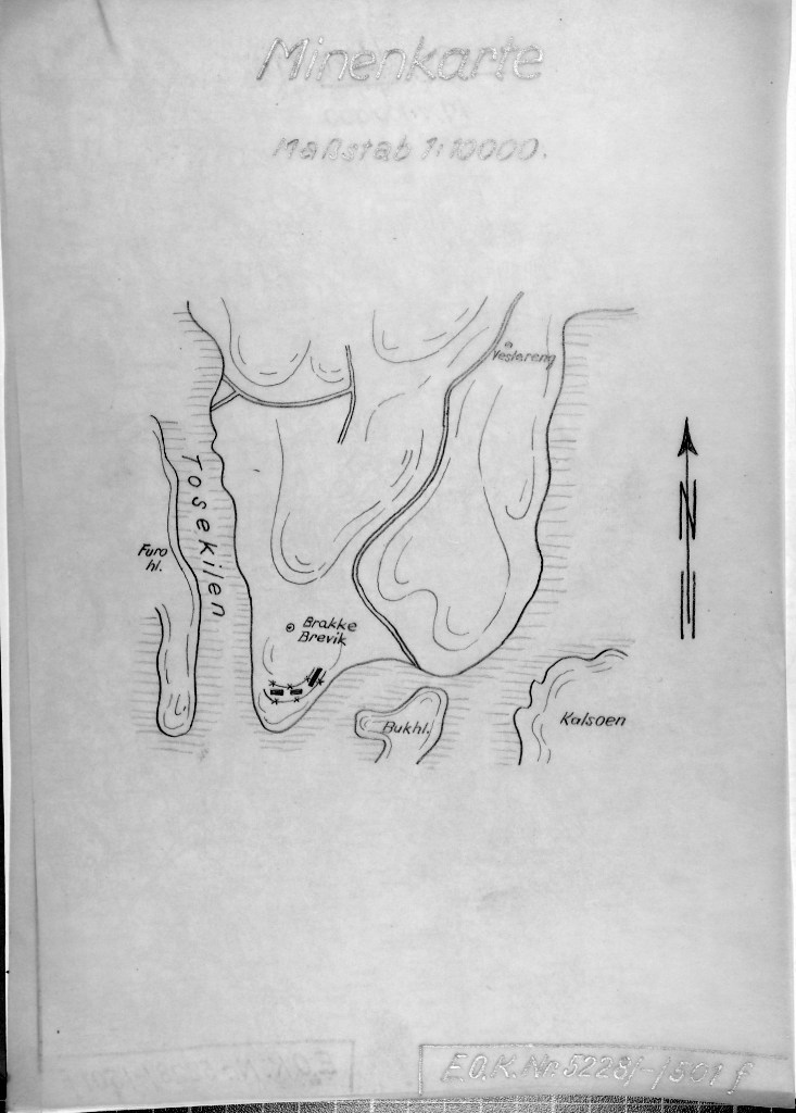 Brakke-Brevik_Minenkarte_1_10000.jpg