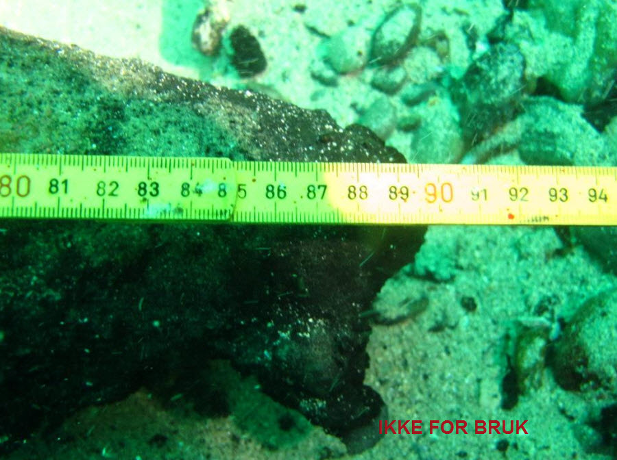 21 cm granat fra HKB Skaaredal - 5.jpg