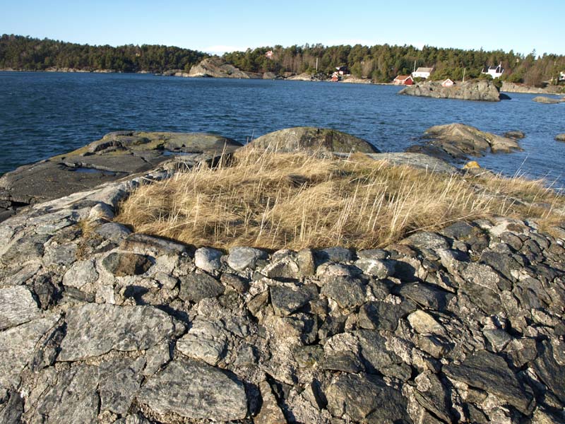 Nærforsvarstilling.jpg