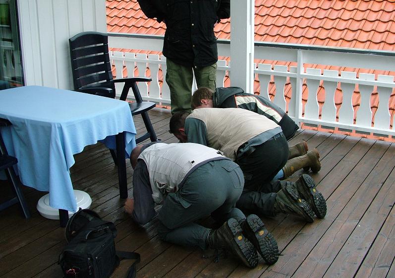 Brennås 633.JPG