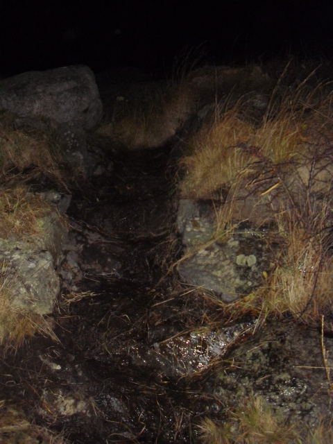 Ikke lett å se trinnene i løpegraven i mørket .Har fremhevet trinnene på neste bilde .