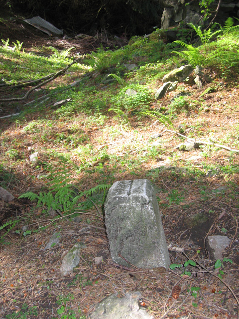 Fastmerke HKB 64/977 Skaaredal<br />E 0291490<br />N 6592162
