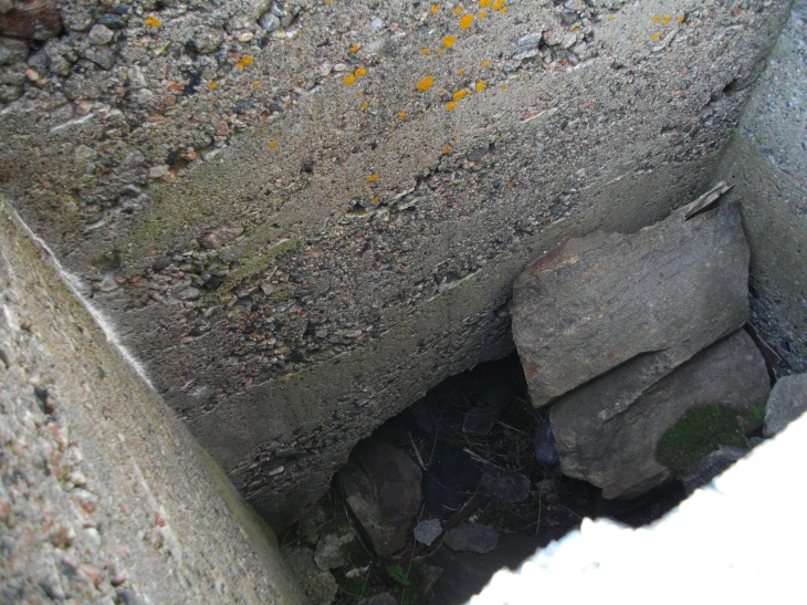IMGP0794.JPG