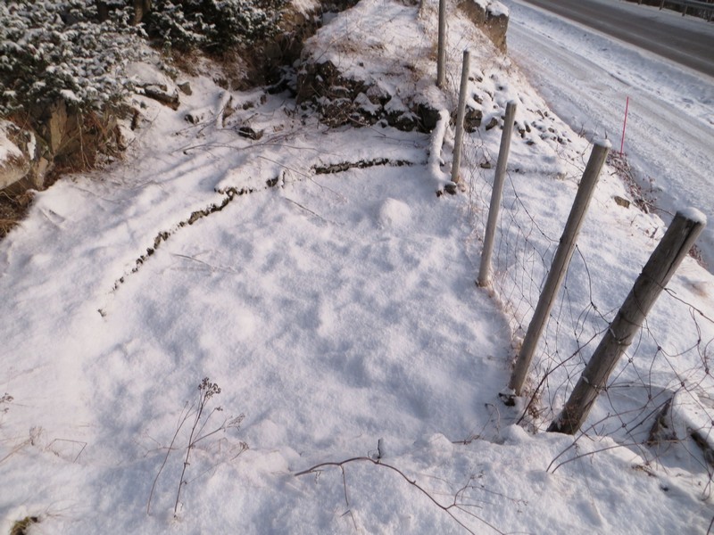 Kanonstillingen (her forsvant åpenbart noe da gangveien ble etablert for noen år siden).