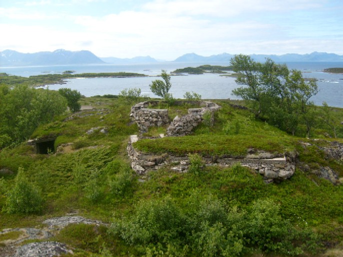 Grøtavær 1.juli-07 069.jpg
