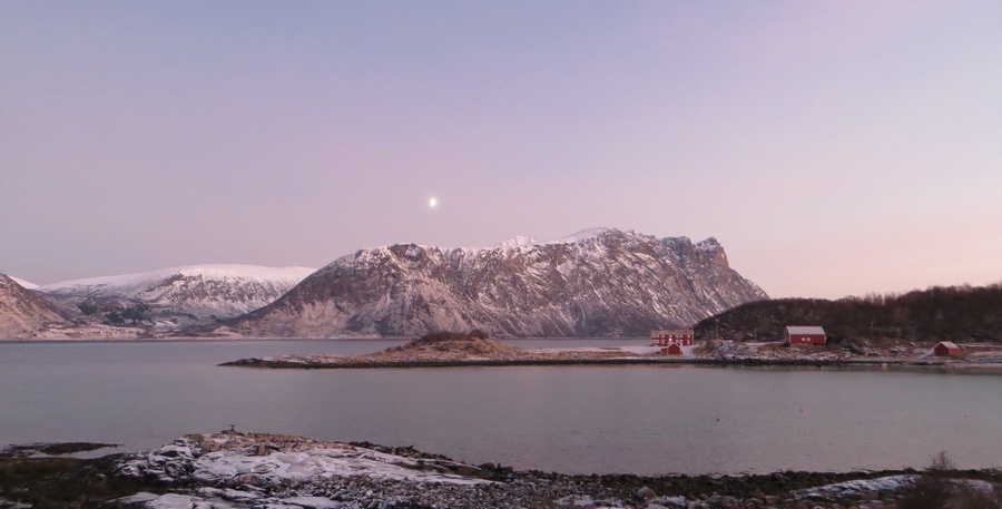 Utsikt mot Grytøy