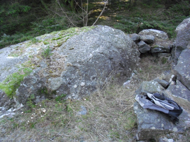 CIMG5879.JPG