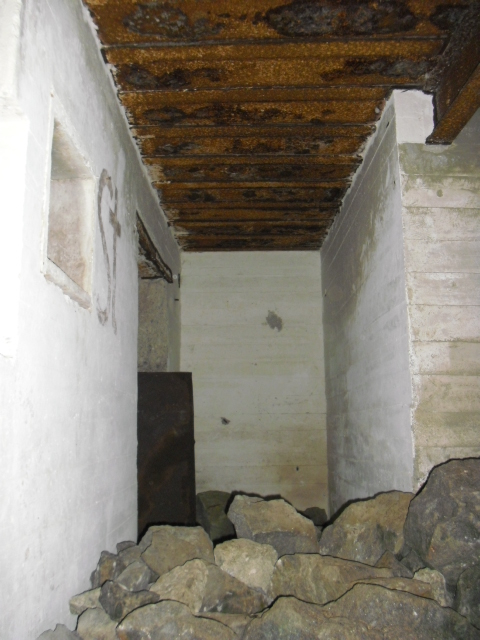 CIMG5853.JPG