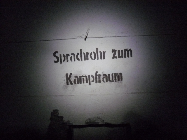 CIMG5861.JPG