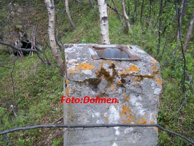 003 (640x480).jpg