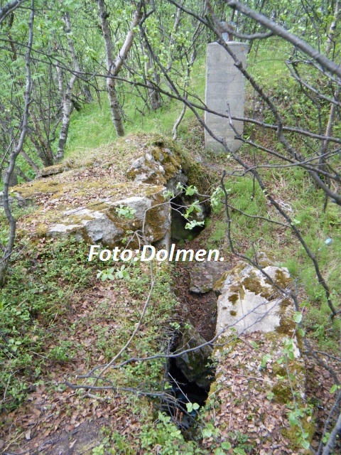 004 (480x640).jpg